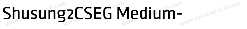 Shusung2CSEG Medium字体转换